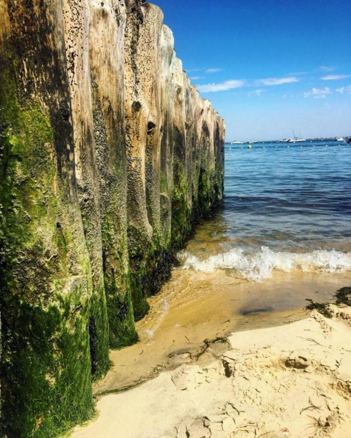 Appartement Cosy Village De L'Herbe Lège-Cap-Ferret 외부 사진